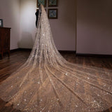 runhufu Accessories 2023 New Arrival The Champagne Chapel Veil Bling Bling Bridal Veils Beading Wedding Veil