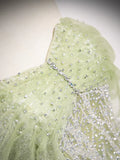 Sage A-Line Off the Shoulder Glittering Tulle Sequins Long Prom Dress Sweet 16 Dress HZ1108