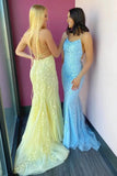 Sky Blue A-Line Spaghetti Strap Backless Elegant Tulle Applique Long Prom Dress HZ1108