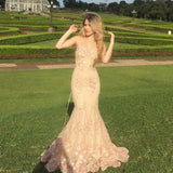Gorgeous Sweetheart Neck Mermaid Lace Appliques Formal Evening Dresses Long Prom Dresses HZ1108