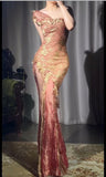Elegant Gold Lace Applique Bodycon Pink Tulle Long Prom Dresses Vintage Formal Evening Dress HZ1108
