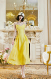 Sweet Butter Yellow Spaghetti Strap A-Line Birthday Dress Elegant Backless Party Dress HZ1108