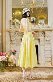 Sweet Butter Yellow Spaghetti Strap A-Line Birthday Dress Elegant Backless Party Dress HZ1108