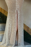 Bling Champagne Sheath Spaghetti Straps Mermaid Sequins Long Prom Dress for Party&Special Events HZ1108