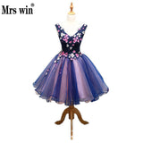 Runhufu Dress 2023 V-neck Classic Flower Appliques Noble Mini Ball Gown Sweet Quinceanera Dresses Party Prom Formal Dress