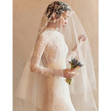 Main Light Wedding Dress 2025 New Female Small Tail Size Size Thin Simple Fish Tail Lace Back Travel Shot