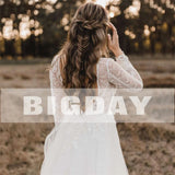 Runhufu A-Line Wedding Dresses Women 2024 Open Back Long Sleeves Lace V-Neck Bridal Gowns Tulle Sweep Train Vestidos De Noiva